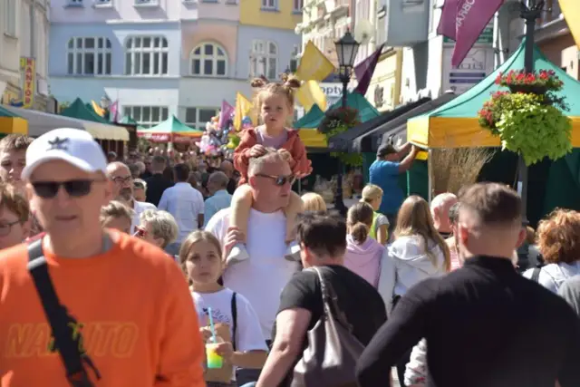 Kiedy winobranie w Zielonej Górze? Sprawdź daty i atrakcje festiwalu