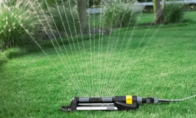 Kiedy siać trawnik, aby uniknąć błędów i uzyskać piękny efekt