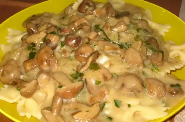 Jak zrobić sos z maślaków - prosty przepis na wyjątkowy smak