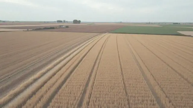 Jakie są aktualne dopłaty do ugoru? Co zmieniają nowe przepisy?