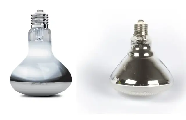 Najlepsze żarówki UV: Jak wybrać idealną dla zdrowia gadów i więcej