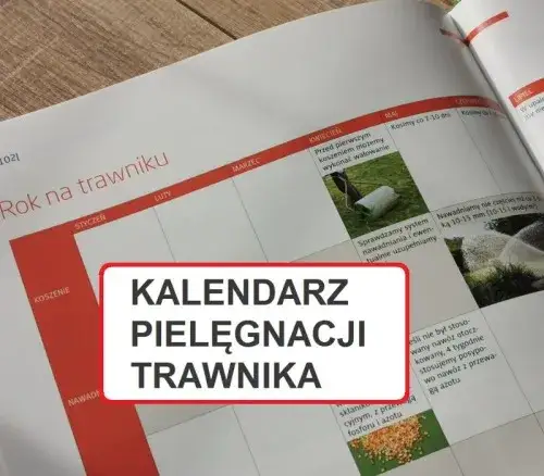Trawnik idealny przez rok: Pełny kalendarz pielęgnacji w Polsce