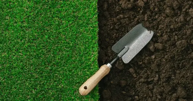 Jak założyć trawnik na chwastach i uniknąć problemów z pielęgnacją