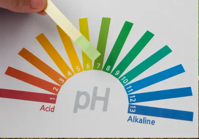 Jakie pH pod trawnik zapewni zdrowy wzrost i intensywny kolor?