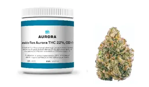 Jak kupić medyczną marihuanę bez zbędnych formalności i stresu