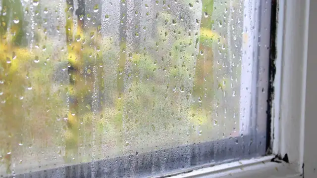 Dlaczego okna są mokre? Poznaj przyczyny i skutki kondensacji
