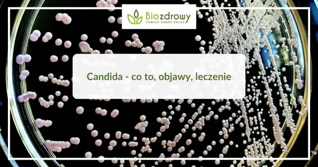 Candida objawy psychiczne: jak przerost grzybów wpływa na umysł
