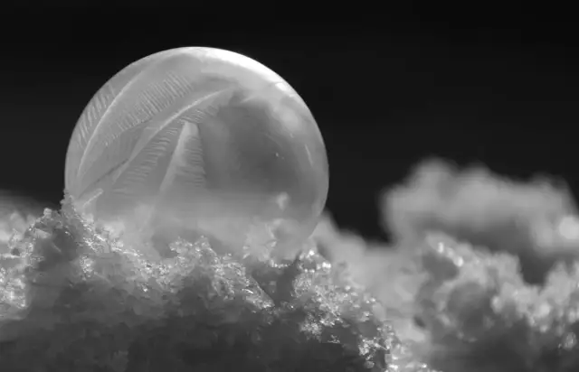 Najzimniejsze miejsce w zamrażarce: Gdzie mrozić, by oszczędzać?