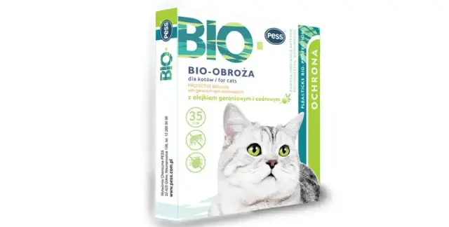 Ile kosztuje obroża przeciwpchelna dla kota? Ceny i porady zakupowe