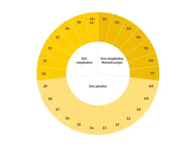 Kiedy jest owulacja? Rozszyfruj sygnały ciała i poznaj dni płodne.