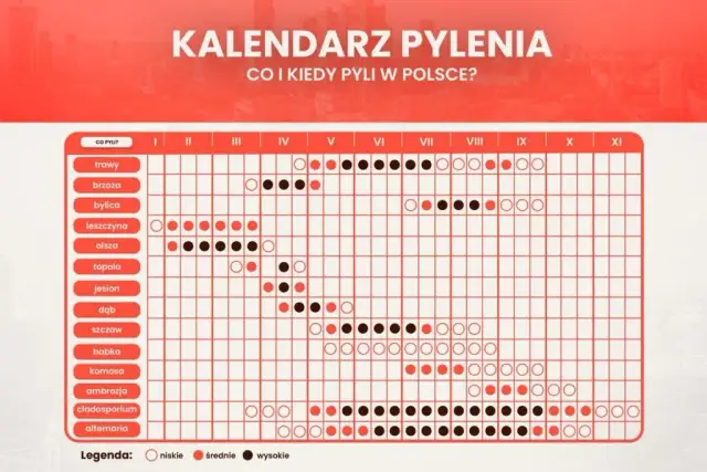 Co teraz pyli w Szczecinie? Aktualny raport, kalendarz i porady!
