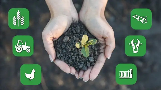 Jak sprawdzić zadłużenie w KRUS i uniknąć nieprzyjemnych konsekwencji