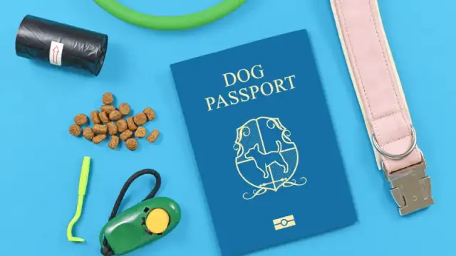 Paszport dla psa: Wygląd, zawartość i jak go uzyskać
