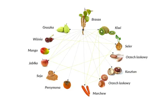 Alergia krzyżowa brzoza - jabłko parzy? Poznaj skuteczne strategie