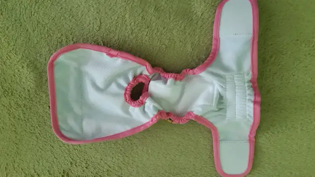 Pielucha dla psa DIY: Szybkie rozwiązania na cieczkę i nietrzymanie.