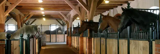 Najlepsze stadniny koni w Pruszkowie - oferty i opinie klientów