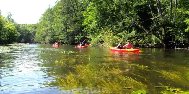 Spływ kajakowy Zachodniopomorskie: Wybierz idealny szlak!