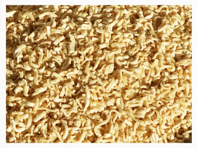 Makaron dla psa: Tak, ale z głową! Bezpieczny przewodnik