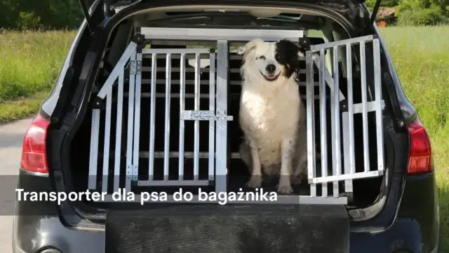 Najlepsze transportery dla psa w Zooplus - wybierz idealny model