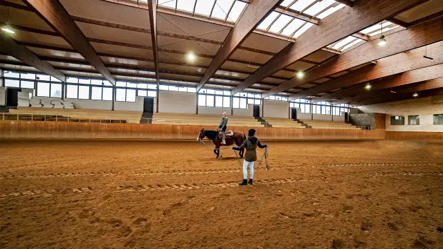 Jeździectwo Łódź: najlepsze kluby i ośrodki jazdy konnej w regionie