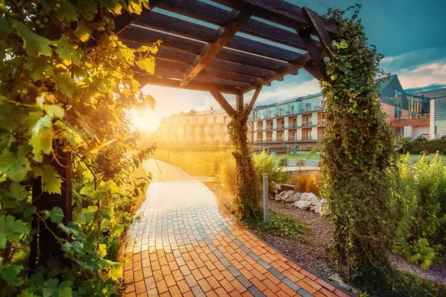 Kamienista ścieżka pod drewnianą pergolą z pnączami, prowadząca do sanatorium w słońcu.