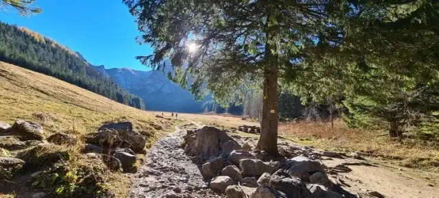 Najlepsze atrakcje w Dolinie Kościeliskiej dla rodzin z dziećmi