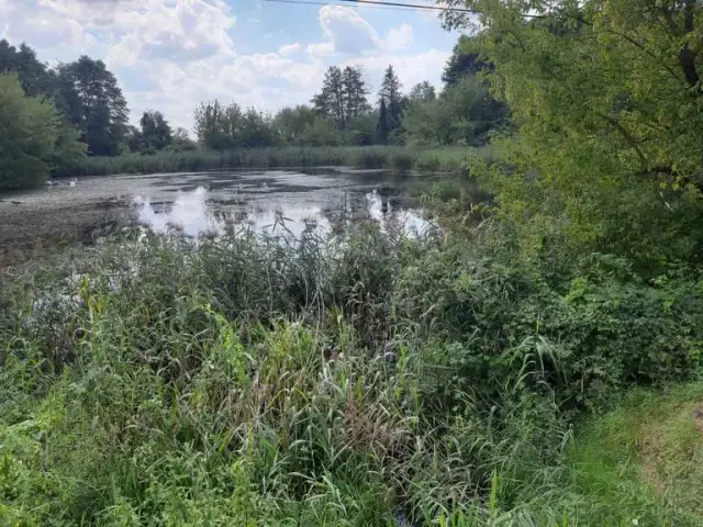 Najciekawsze atrakcje w Błoniu, które musisz zobaczyć podczas wizyty