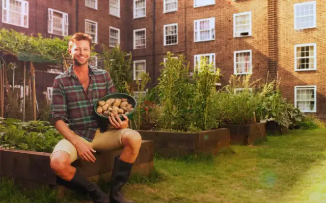 Jak ogrodzić ogródek w bloku - praktyczne porady i przepisy prawne