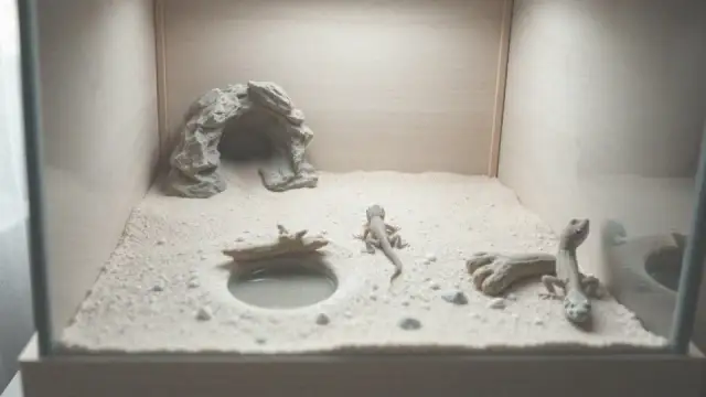 Jak zrobić mokrą kryjówkę dla gekona, aby uniknąć problemów zdrowotnych