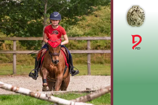 Odznaki jeździeckie PZJ: Jak zdać egzamin? Wymagania, porady