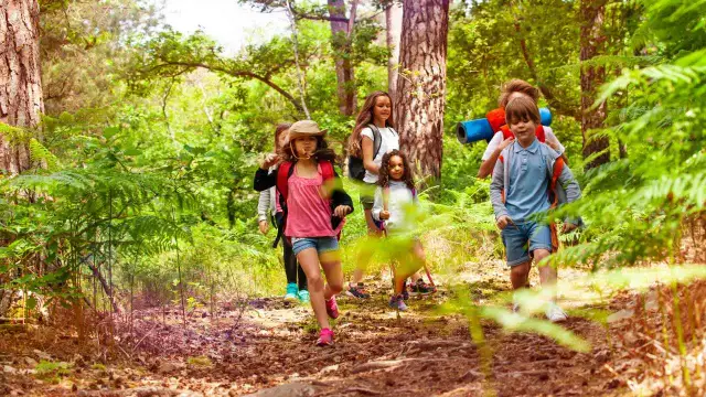 Gdzie na wycieczkę z dzieckiem? Pomysły i planowanie bez stresu!