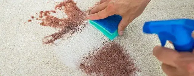 Jak skutecznie wyprać wykładzinę w domu – proste metody bez uszkodzeń