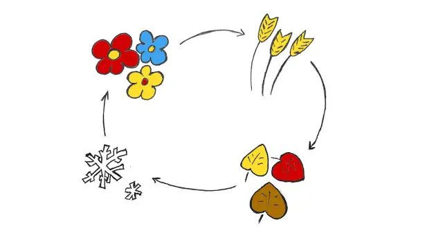 Cykl pór roku: kwiaty, kłosy zboża, liście, śnieżynki. Ilustracja nawiązuje do mitu o Demeter i Korze.