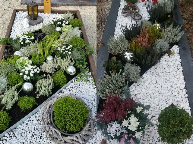 Jakie kwiaty na cmentarz jesienią? Odkryj trwałe rośliny pamięci