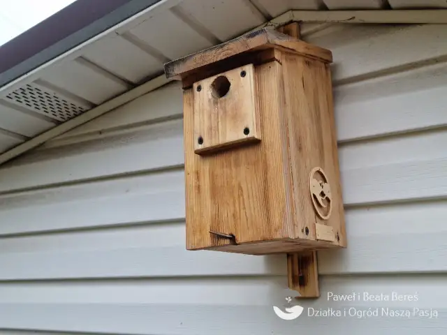 Czyszczenie budek lęgowych: Klucz do zdrowia ptaków. Kiedy i jak?