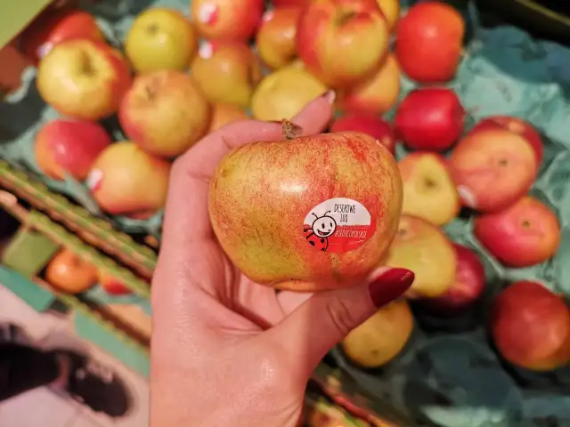 Biedronka: najlepsze jabłka na szarlotkę? Przewodnik eksperta.