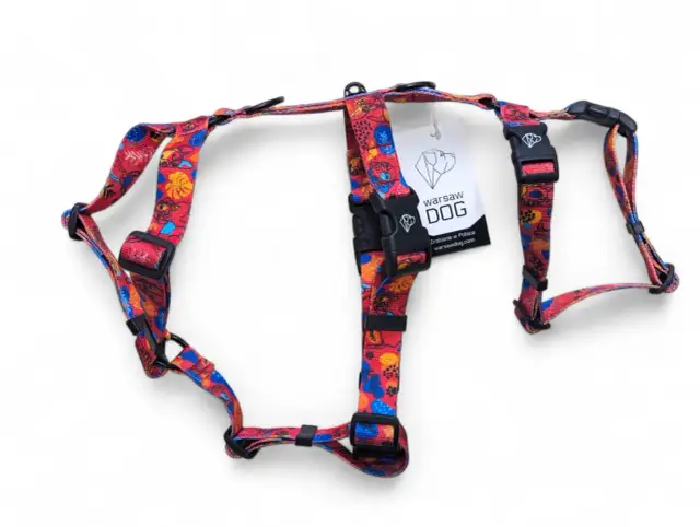 Szelki dla psa: Wybierz idealne dla zdrowia i komfortu pupila