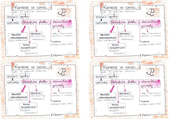 Czy kamienie na szaniec to literatura faktu czy fikcja historyczna?