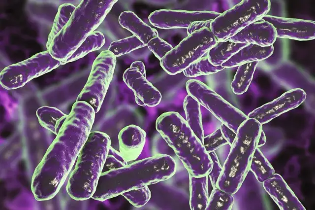 Zaburzona flora bakteryjna pochwy objawy - co musisz wiedzieć, aby uniknąć problemów