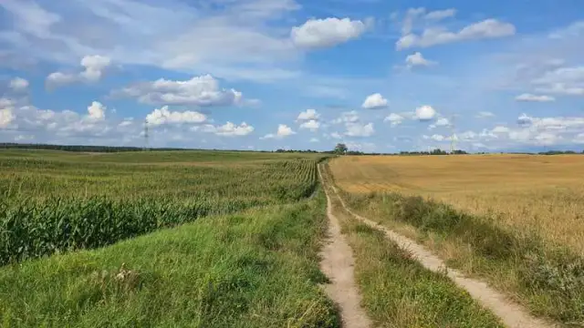 Szczytno atrakcje – odkryj najciekawsze miejsca i aktywności w mieście