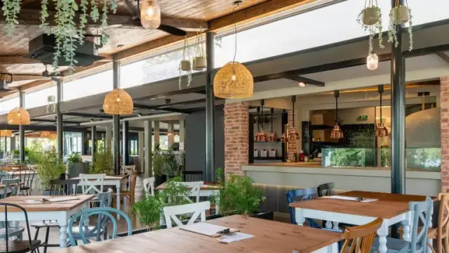 Rovinj gdzie zjeść: najlepsze restauracje i lokalne specjały