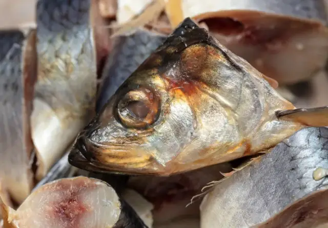 Jakie ryby jeść nad Bałtykiem, aby uniknąć mrożonek i cieszyć się smakiem?