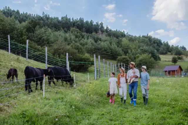 Czy agroturystyka jest działalnością gospodarczą? Sprawdź, co musisz wiedzieć