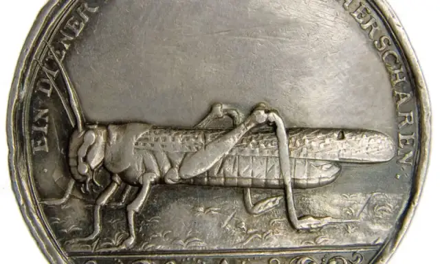 Muzeum sztuki medalierskiej we Wrocławiu – unikalne zbiory i wystawy