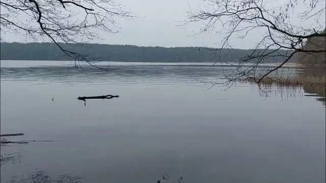 Jezioro Kośno: ukryty skarb natury z idealnymi trasami do spływu
