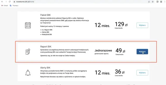 Ikona dokumentu z cyfrą 1, tekst "Raport BIK", cena 49 zł i przycisk "Wybierz".