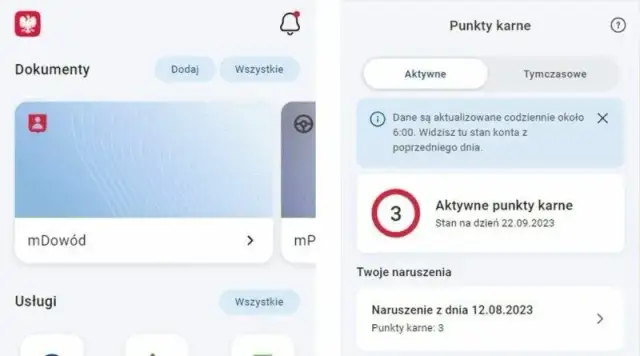 Czy sąd może dać punkty karne? Poznaj prawdę o ich przyznawaniu