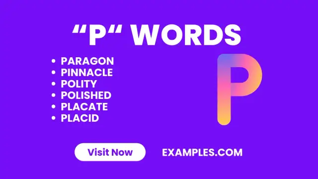 P word co to? Zrozumienie eufemizmu i jego społecznych skutków