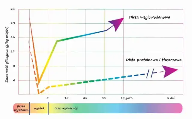Czy bułki tuczą? Odkryj prawdę o pieczywie i odchudzaniu!