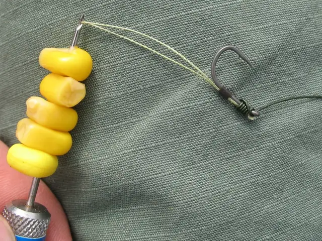 Najlepsza zanęta karp amur - skuteczne mieszanki na ryby